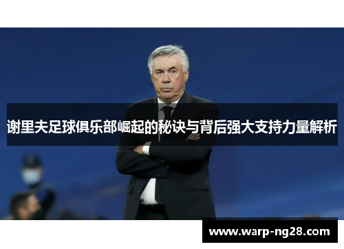 谢里夫足球俱乐部崛起的秘诀与背后强大支持力量解析 谢里夫足球俱乐部崛起的秘诀与背后强大支持力量解析