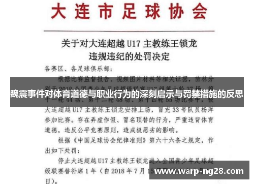 魏震事件对体育道德与职业行为的深刻启示与罚禁措施的反思