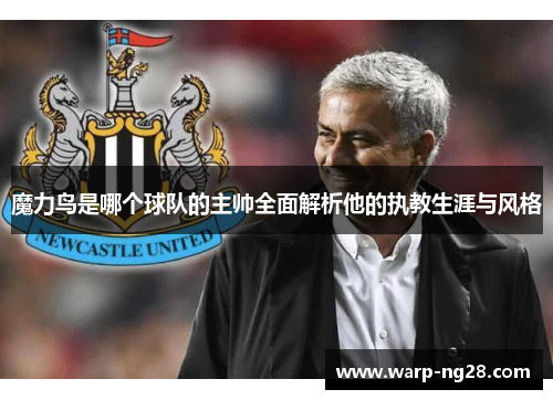 魔力鸟是哪个球队的主帅全面解析他的执教生涯与风格 魔力鸟是哪个球队的主帅全面解析他的执教生涯与风格