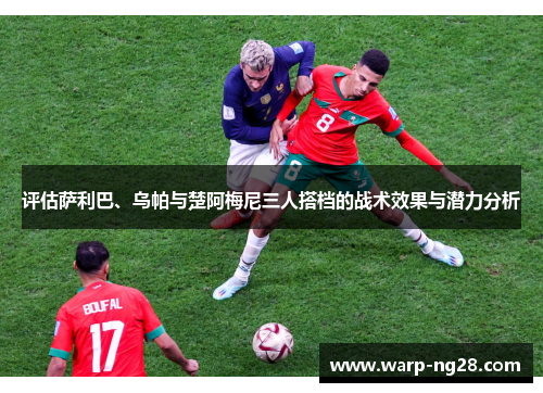 评估萨利巴、乌帕与楚阿梅尼三人搭档的战术效果与潜力分析