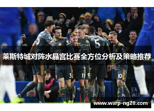 莱斯特城对阵水晶宫比赛全方位分析及策略推荐