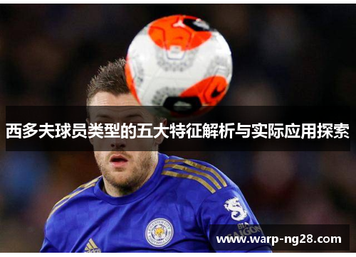 西多夫球员类型的五大特征解析与实际应用探索