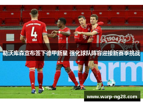 勒沃库森宣布签下德甲新星 强化球队阵容迎接新赛季挑战