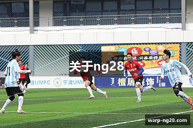 关于ng28